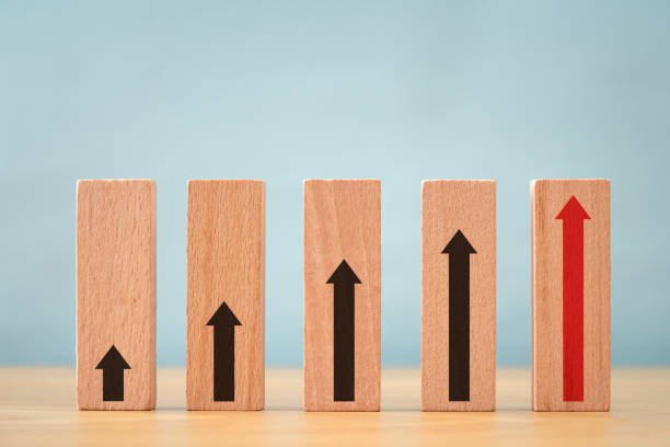 WHAT DOES EXCELLENCE MEAN visual data 7